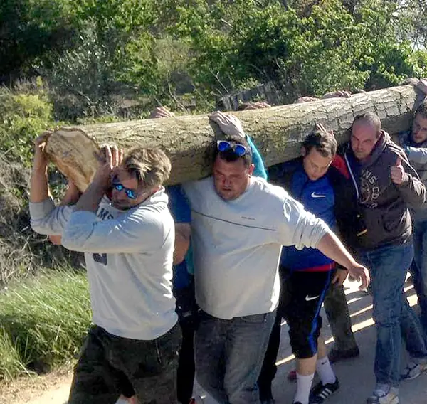Vecinos de Maleján llevando a hombros el tronco del mayo por un camino de la ribera