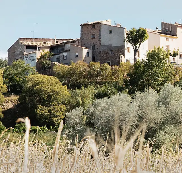 Casas de Maleján en lo alto, sobre los árboles de la ribera y un campo de cereal